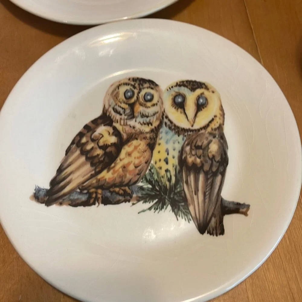 Vintage style owl salad plates and mugs